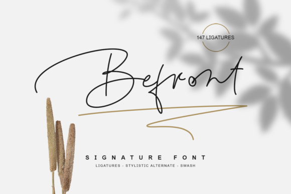 Befront Script Handwritten Font for Elegant Web Design