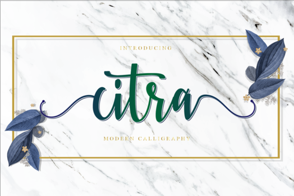 Citra: The Elegant Script Handwritten Font for Modern Web Design