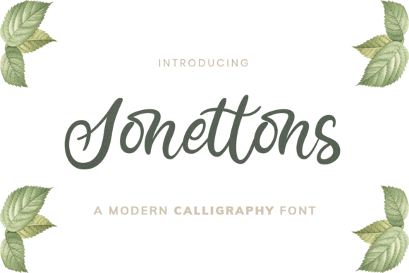 Sonettons Font Review: A Timeless Handwritten Typeface for Elegant Branding