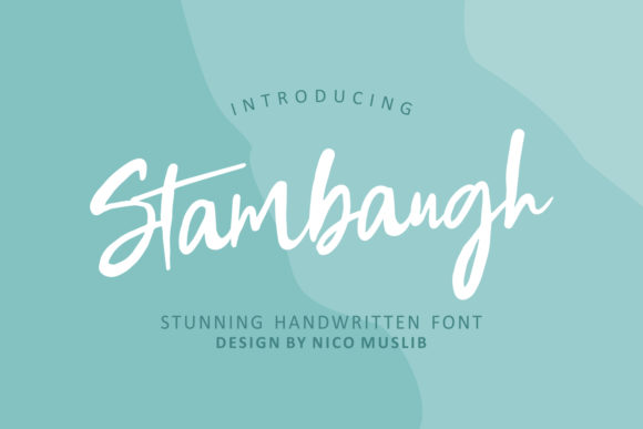 Stambaugh Handwritten Font Review for Editorial Design